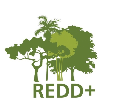 Redd Inequity Perpetuation