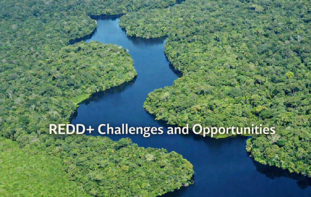 Sample aerial visual representing a complex ecology study